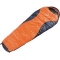 Спальник Deuter Dream Lite 400 Спальник Deuter Dream Lite 400